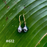 TAHITIAN PEARL GOLD DANGLES (9-10mm)