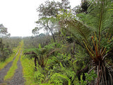 2027 KUANA HILO WORKSHOP WEEKEND (July 9-11, 2027)