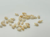 NIIHAU LAIKI SHELLS (3.5oz)