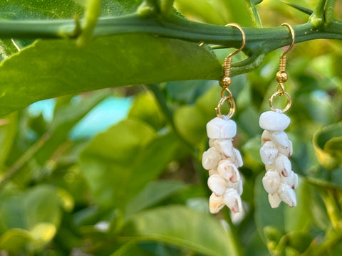 NIIHAU SHELL PĪKAKE STYLE EARRING