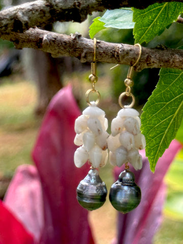 TAHITIAN PEARL + NIIHAU MOMI EARRING