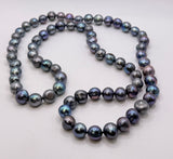 HILO HOLIDAY BUNDLE $149